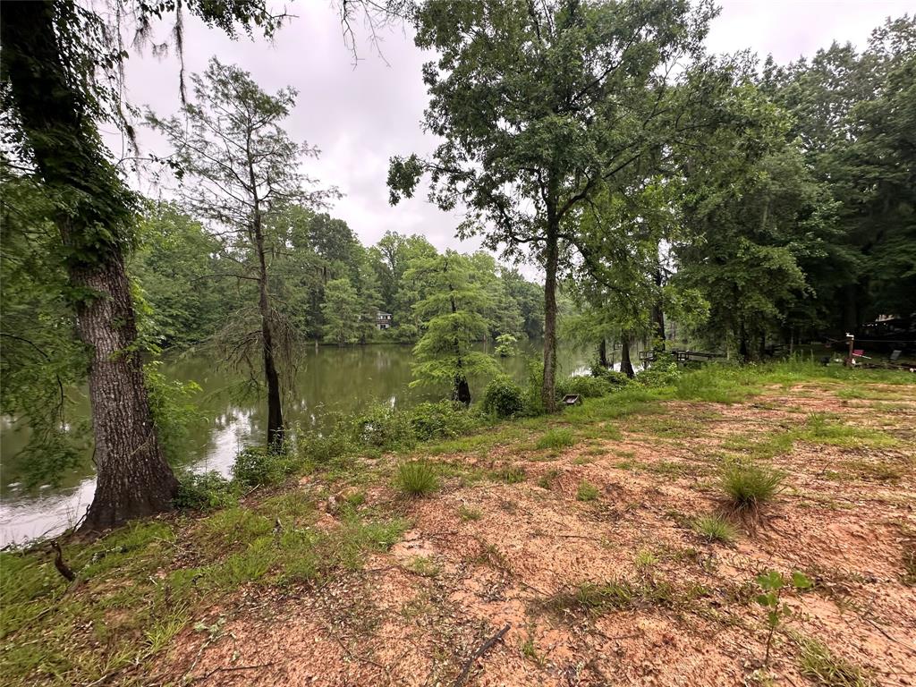 454 Lakeview Drive, Cleveland, Texas image 1