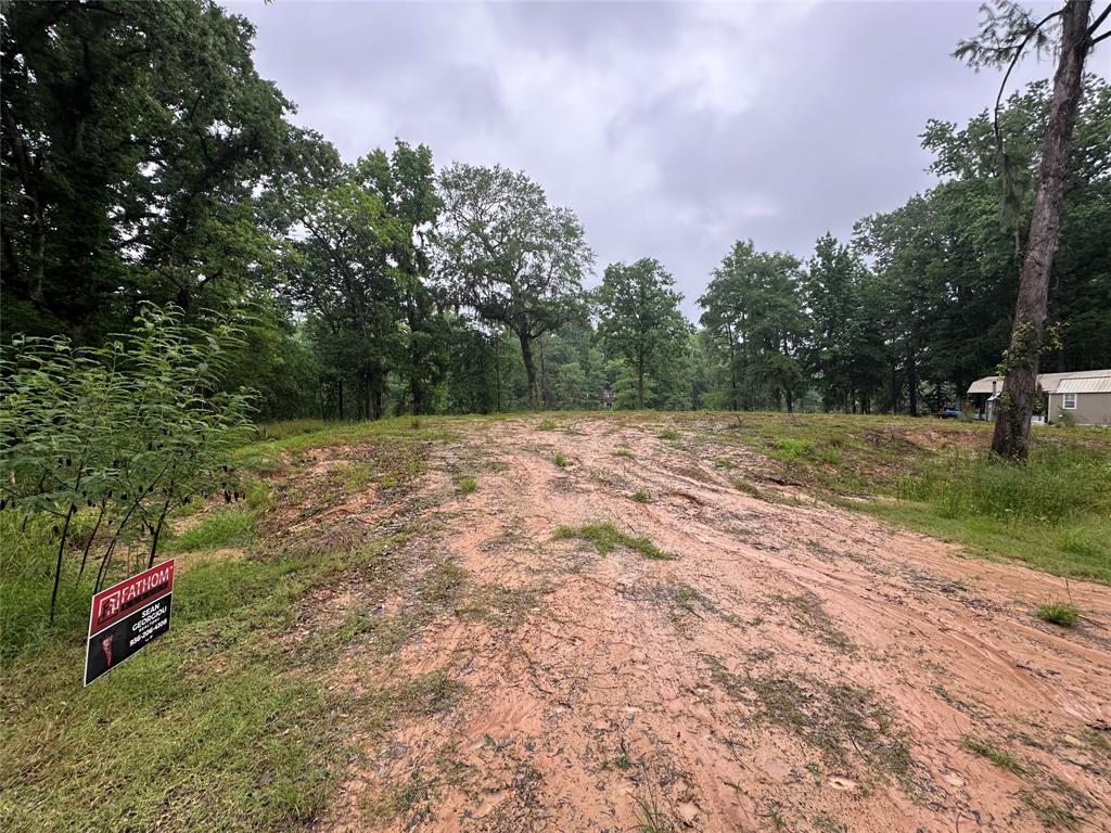 454 Lakeview Drive, Cleveland, Texas image 5