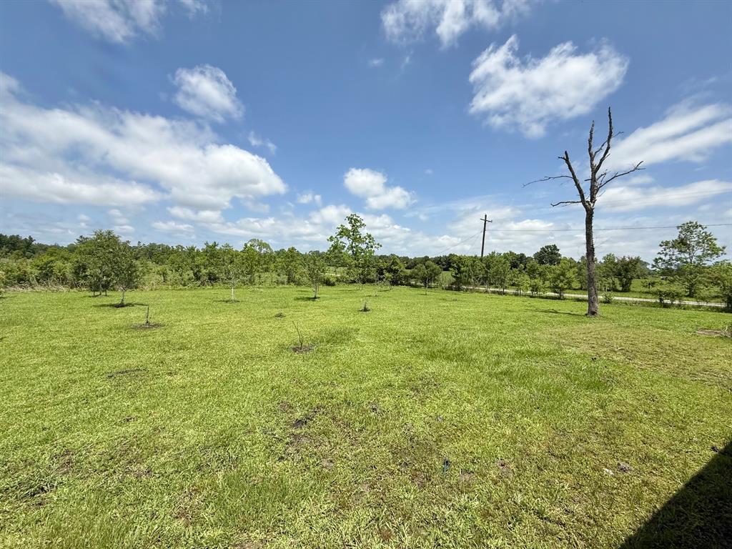 17196 Westbury Road, Beaumont, Texas image 29