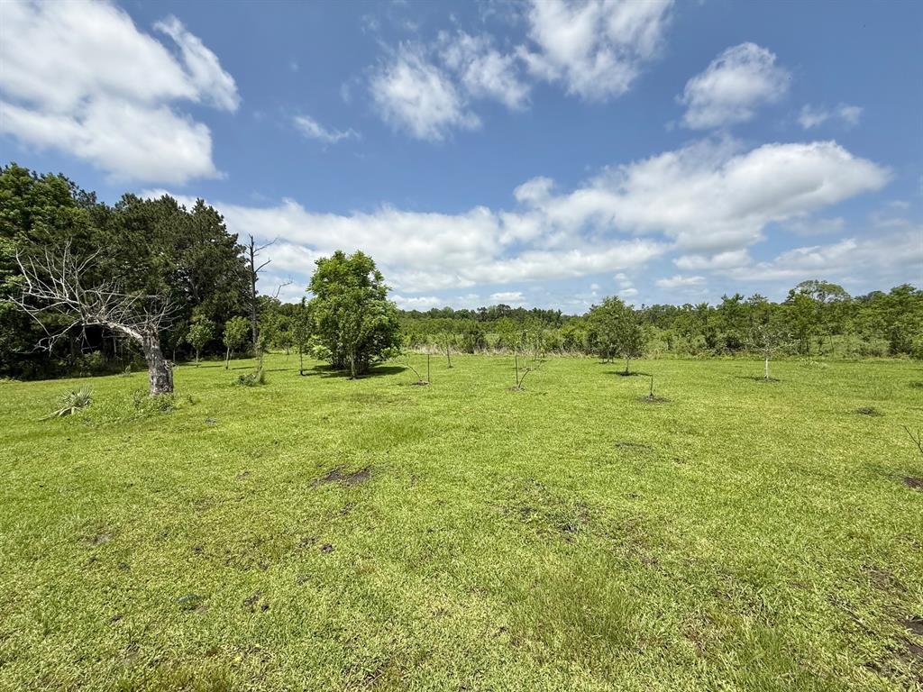 17196 Westbury Road, Beaumont, Texas image 28