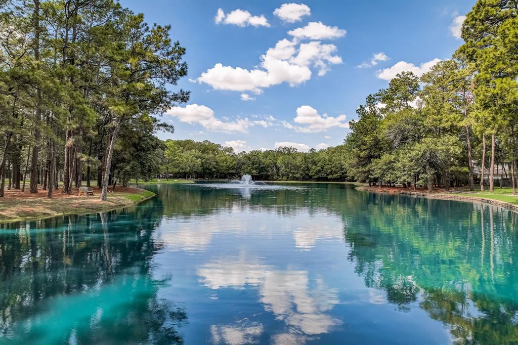 12915 Dunbar Cave Court, Humble, Texas image 48
