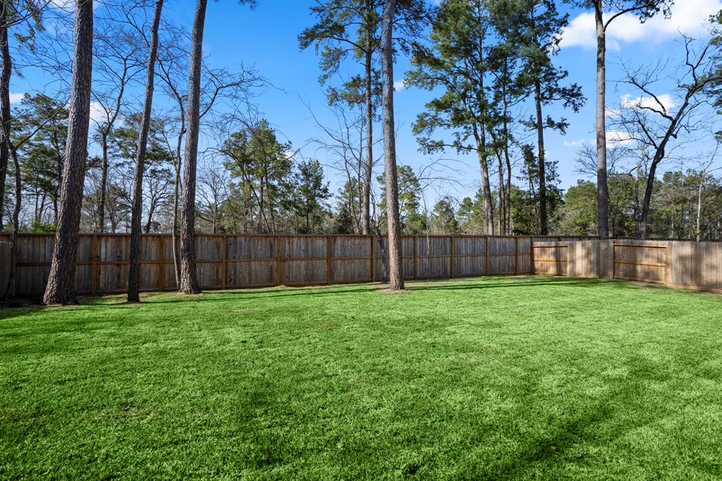 324 Magnolia Bloom Court, Willis, Texas image 37