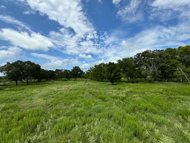 Tract 3 Walhalla Road, Round Top, Texas image 3