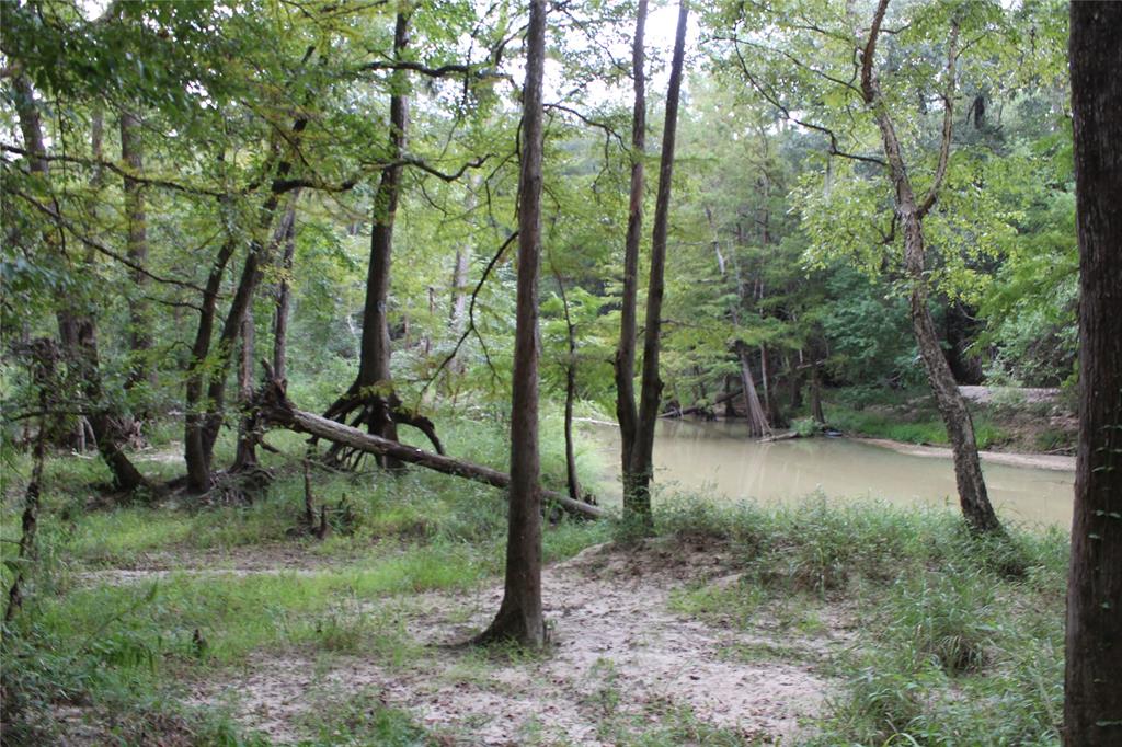 Thomas Lane, Huffman, Texas image 1