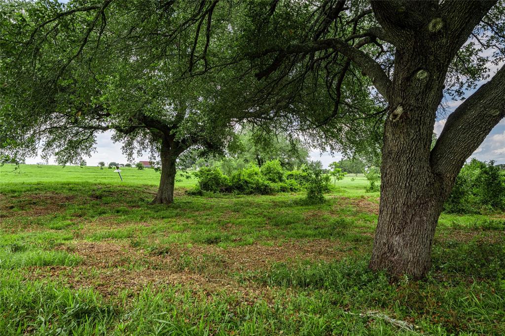 TBD N Nassau Road, Round Top, Texas image 28