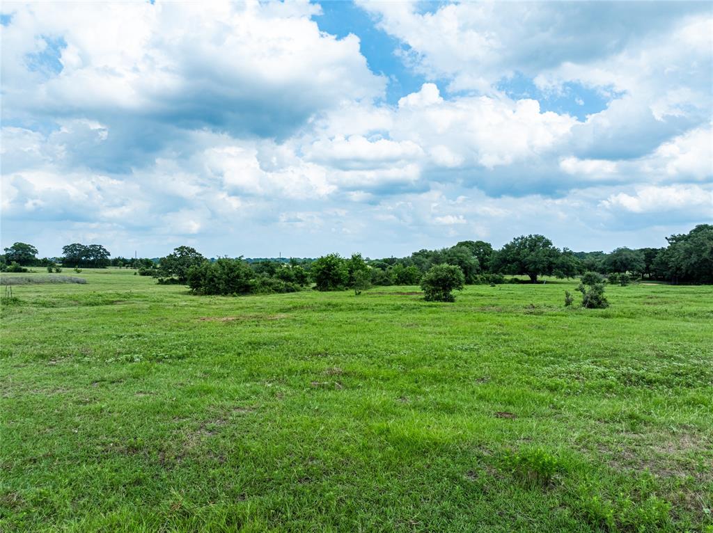 TBD N Nassau Road, Round Top, Texas image 10