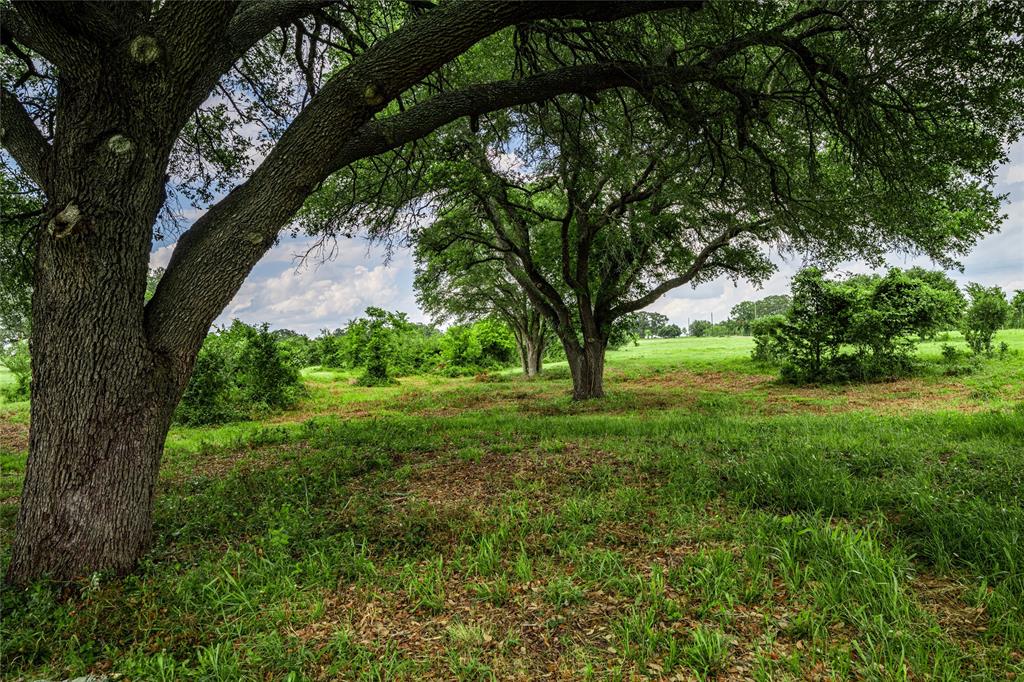 TBD N Nassau Road, Round Top, Texas image 29