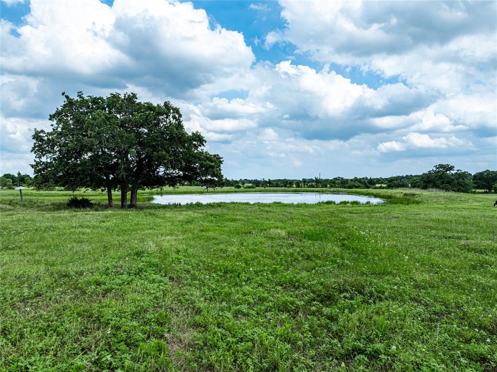 TBD N Nassau Road, Round Top, Texas image 2