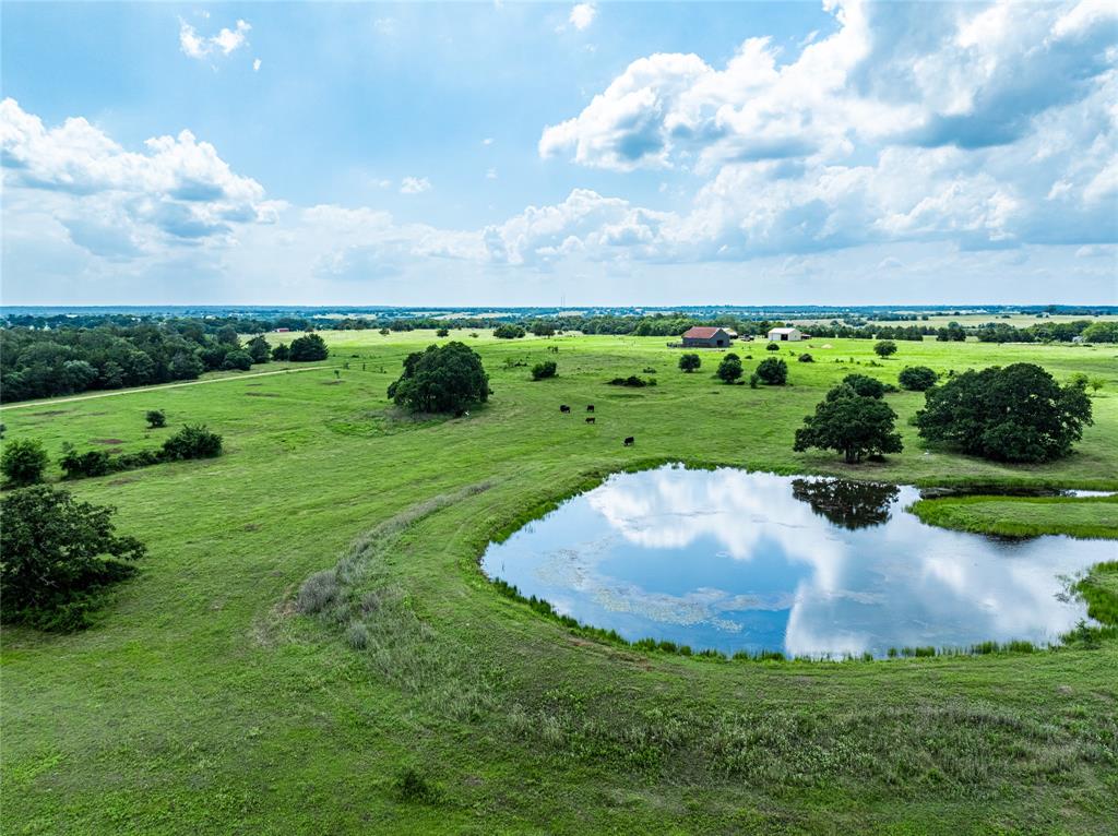 TBD N Nassau Road, Round Top, Texas image 6