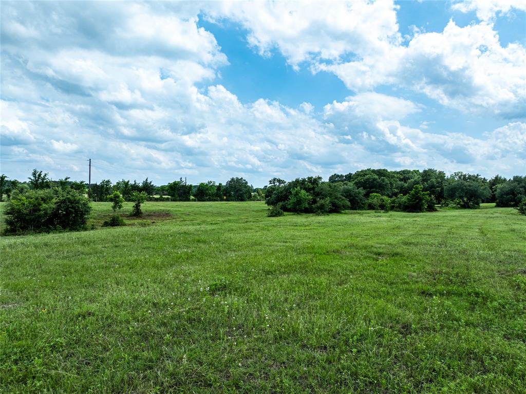 TBD N Nassau Road, Round Top, Texas image 9