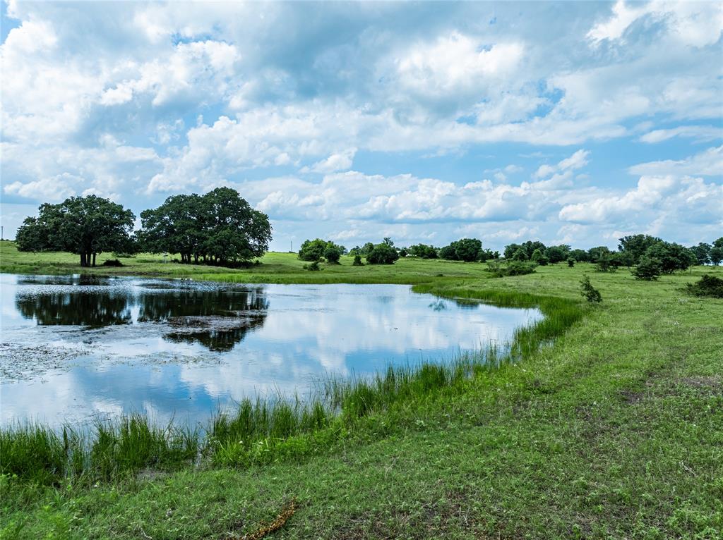 TBD N Nassau Road, Round Top, Texas image 30