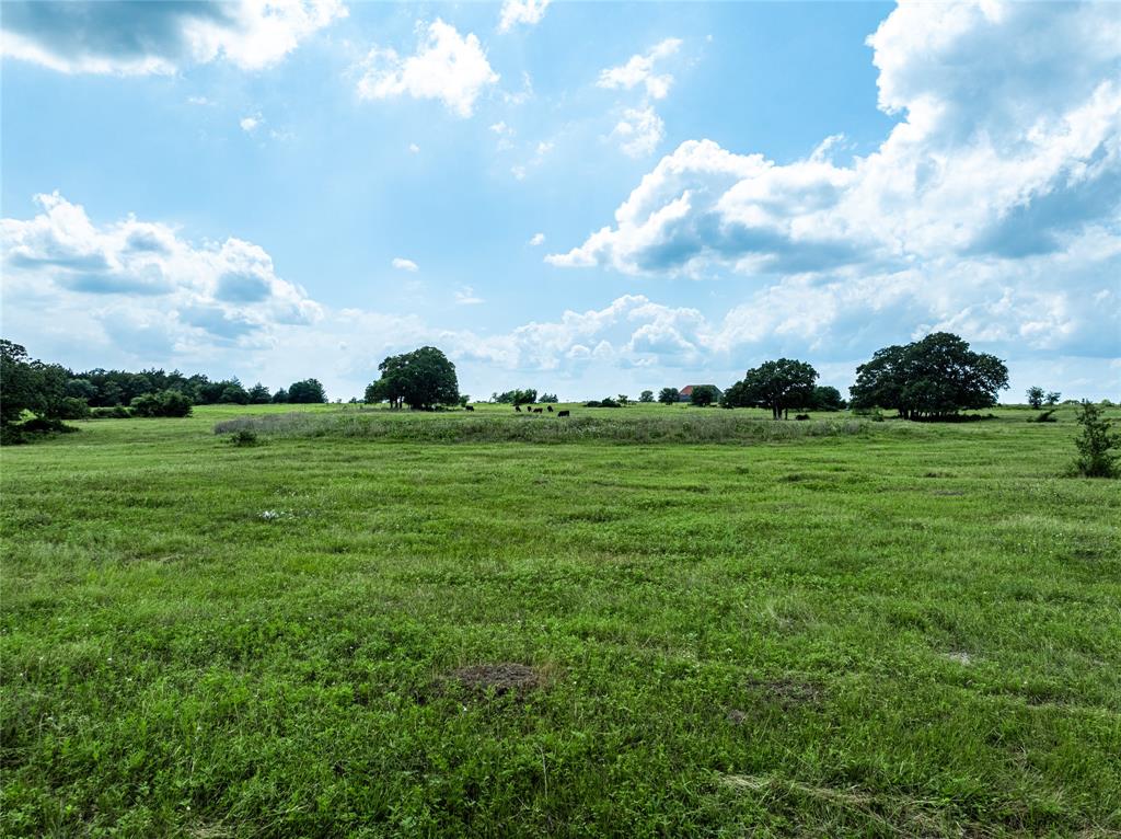 TBD N Nassau Road, Round Top, Texas image 8