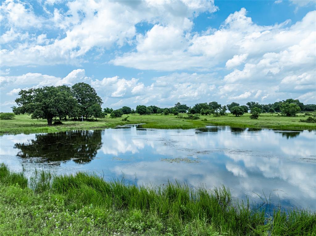 TBD N Nassau Road, Round Top, Texas image 1