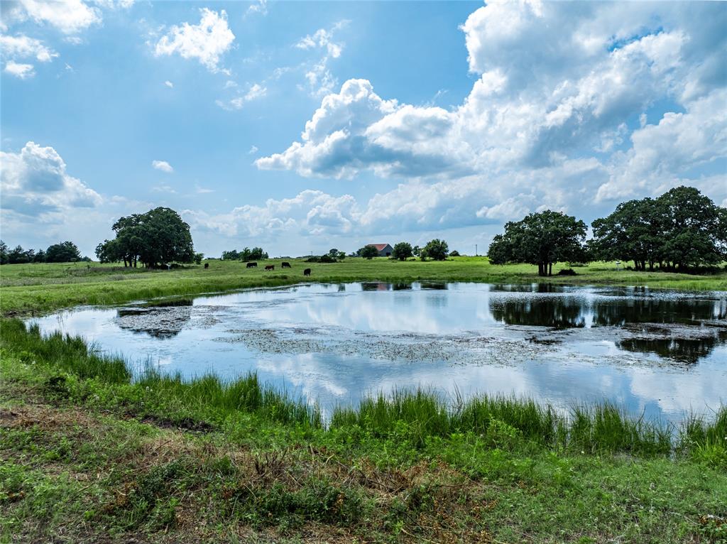 TBD N Nassau Road, Round Top, Texas image 31