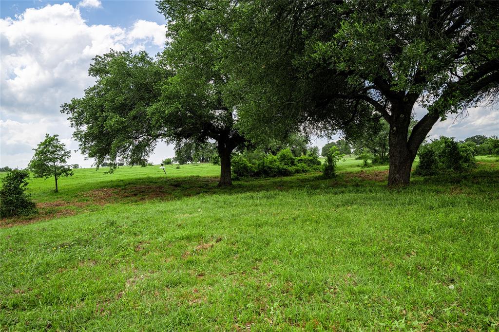 TBD N Nassau Road, Round Top, Texas image 27