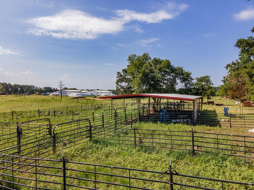 1538 Oquinn Road Rd, Pollok, Texas image 16