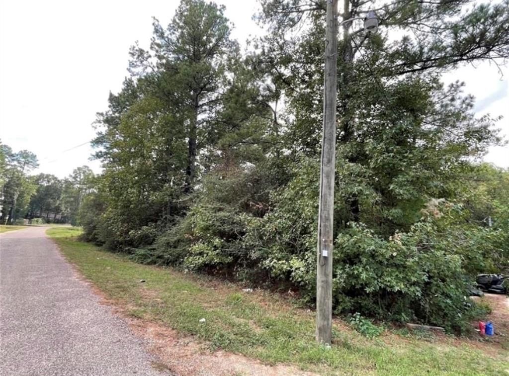 Photo of 24058 Butterfly Lane, Porter, TX 77365 (MLS # 64008129)