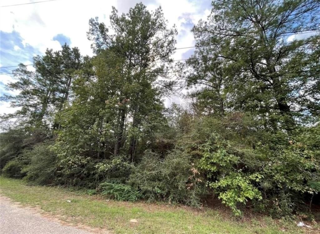 Photo of 24058 Butterfly Lane, Porter, TX 77365 (MLS # 64008129)