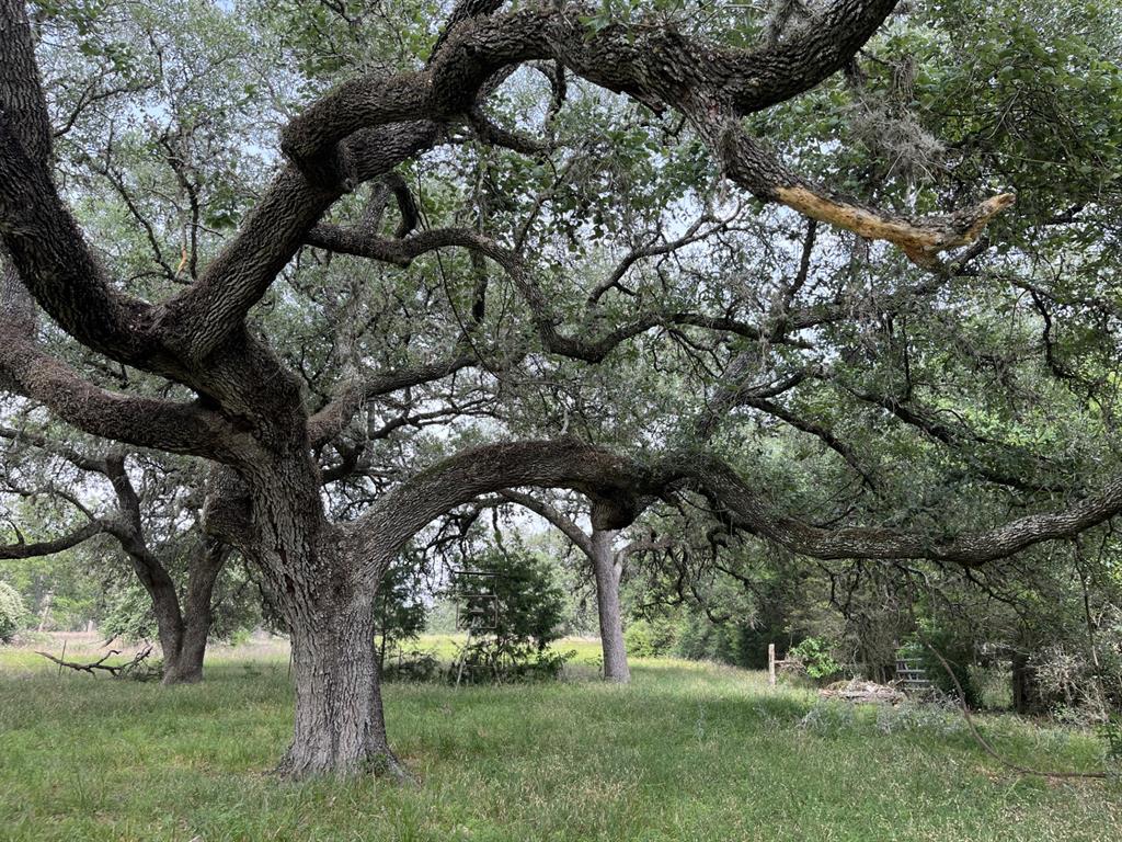 Cr 208, Weimar, Texas image 3