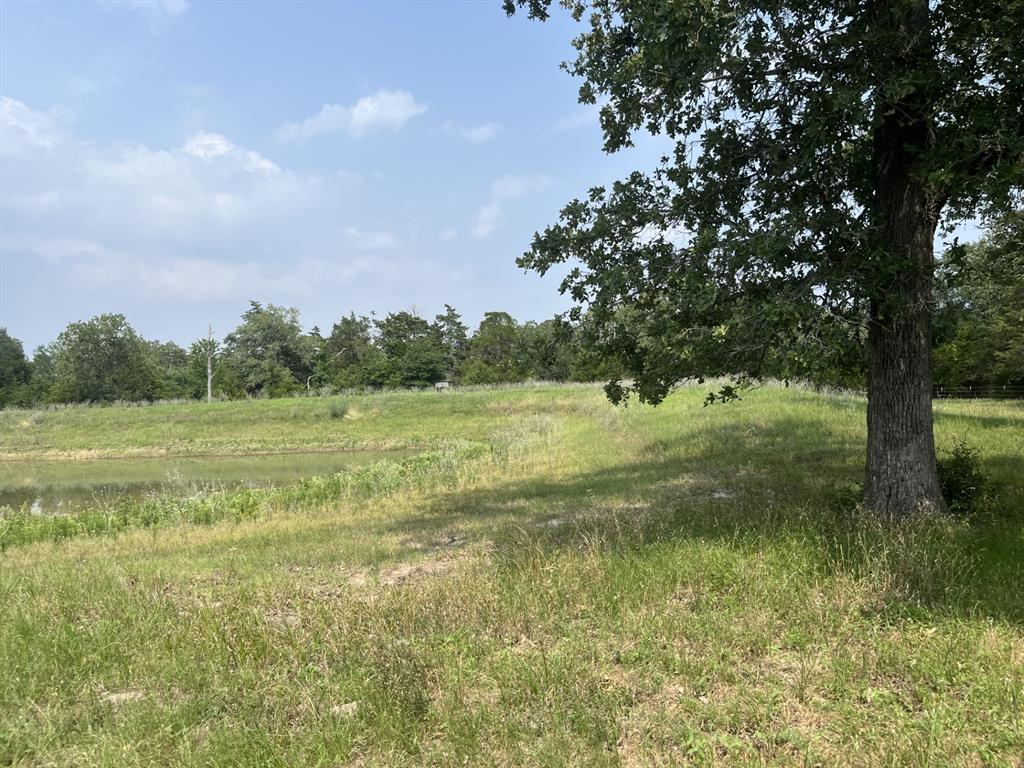 Cr 208, Weimar, Texas image 7
