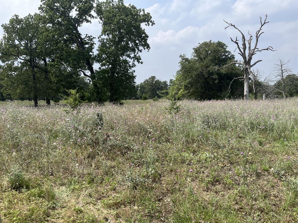 Cr 208, Weimar, Texas image 9