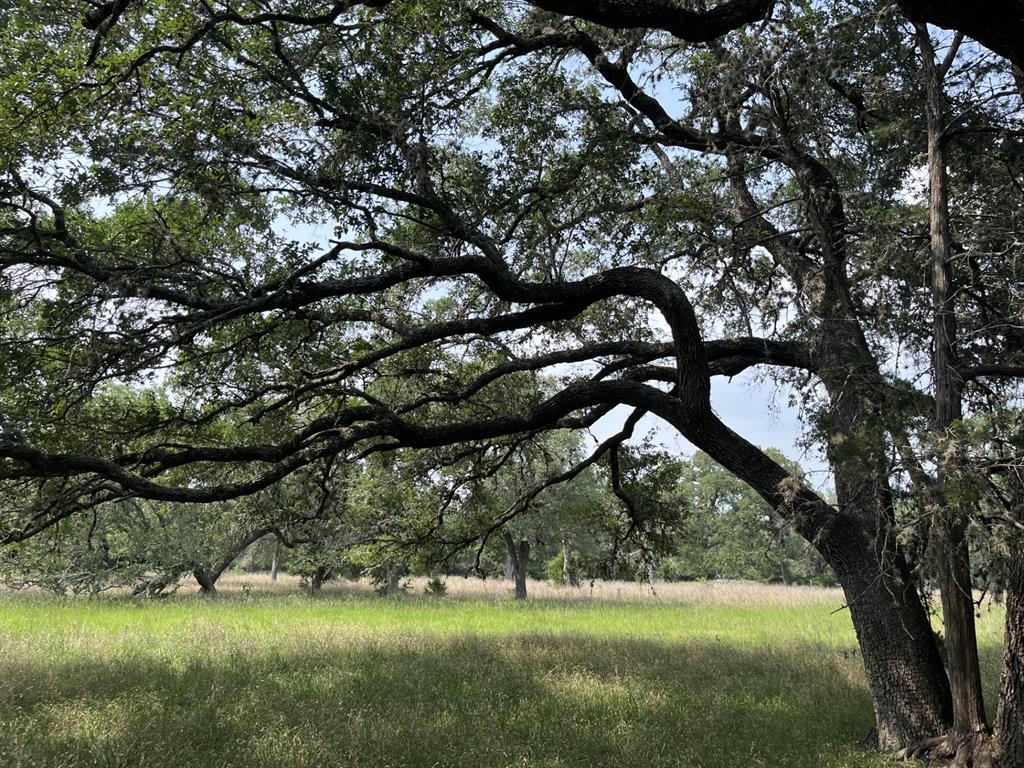 Cr 208, Weimar, Texas image 5
