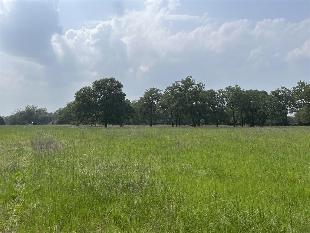 Cr 208, Weimar, Texas image 11