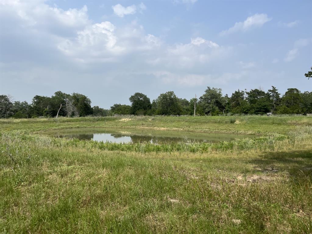 Cr 208, Weimar, Texas image 8