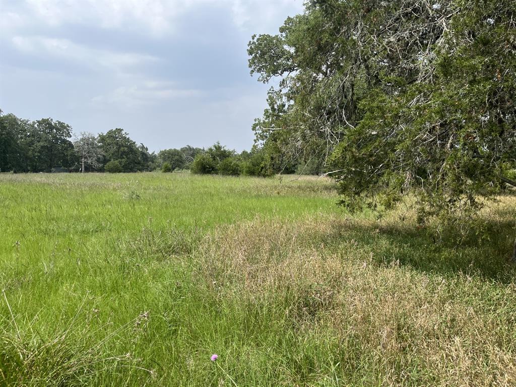 Cr 208, Weimar, Texas image 12