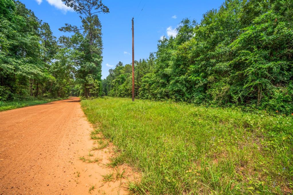 TBD00 Menard Chapel Road, Livingston, Texas image 6