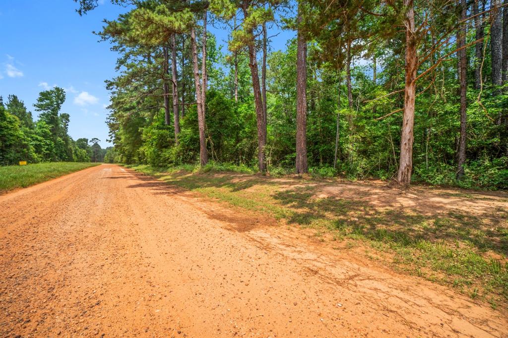 TBD00 Menard Chapel Road, Livingston, Texas image 4