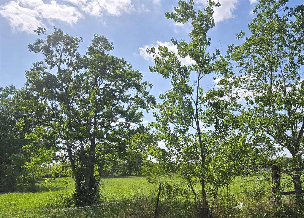 384 County Road 6052, Dayton, Texas image 11