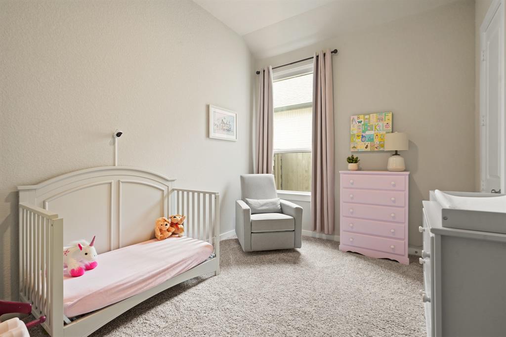 5118 Pomegranate Path, Manvel, Texas image 19