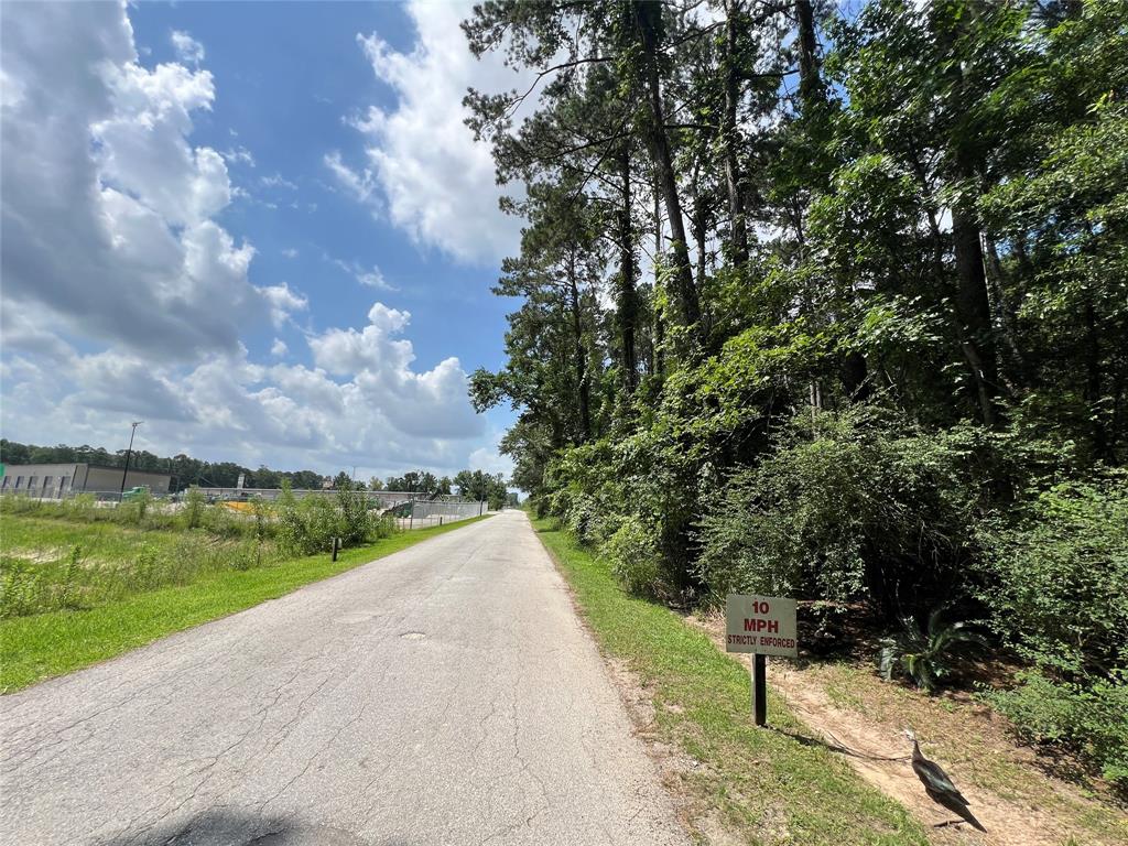 TBD Jimima Blvd, New Caney, Texas image 5