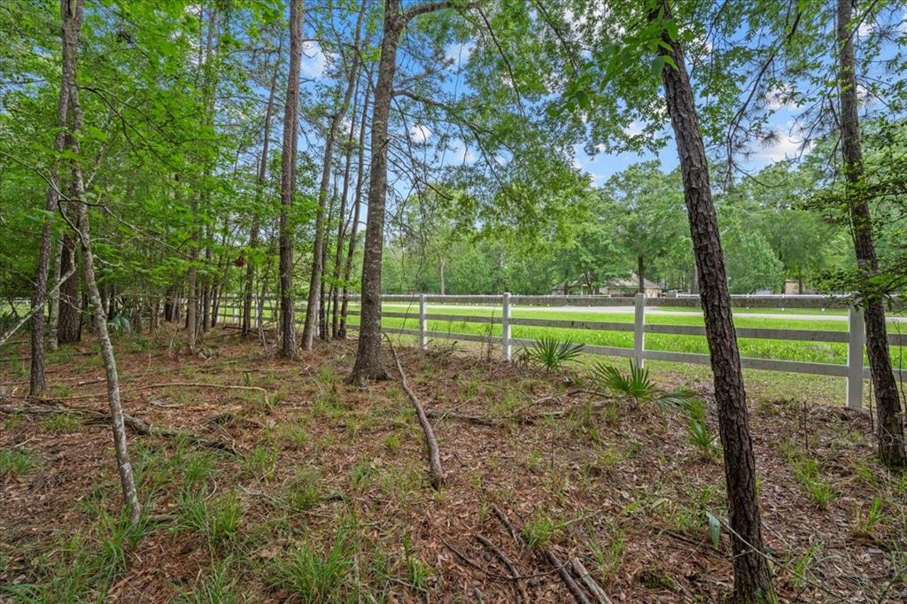 1114 S Commons View Drive, Houston, Texas image 8