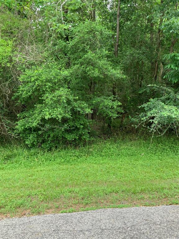 Lot 10 Idlewilde Drive, Onalaska, Texas image 7