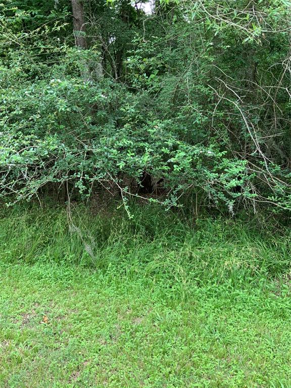 Lot 10 Idlewilde Drive, Onalaska, Texas image 5
