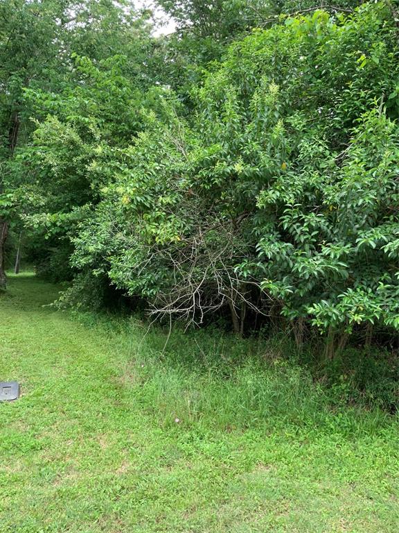 Lot 10 Idlewilde Drive, Onalaska, Texas image 6