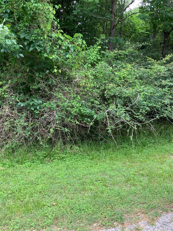 Lot 10 Idlewilde Drive, Onalaska, Texas image 2