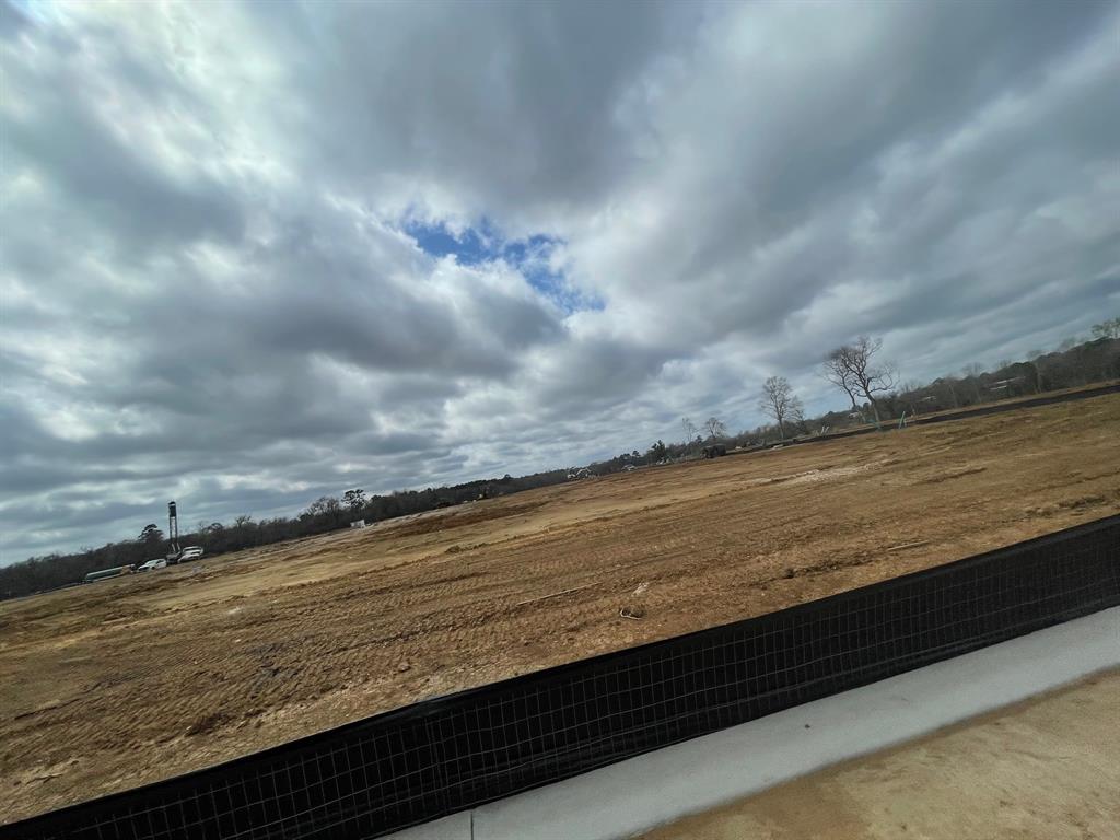11842 Serenas Song Drive, Willis, Texas image 2