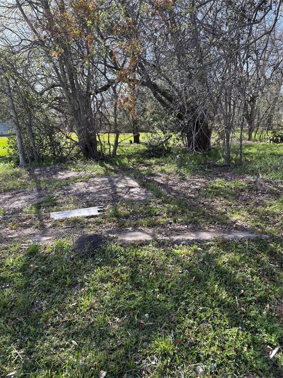 3435 Houston Street, Beaumont, Texas image 4