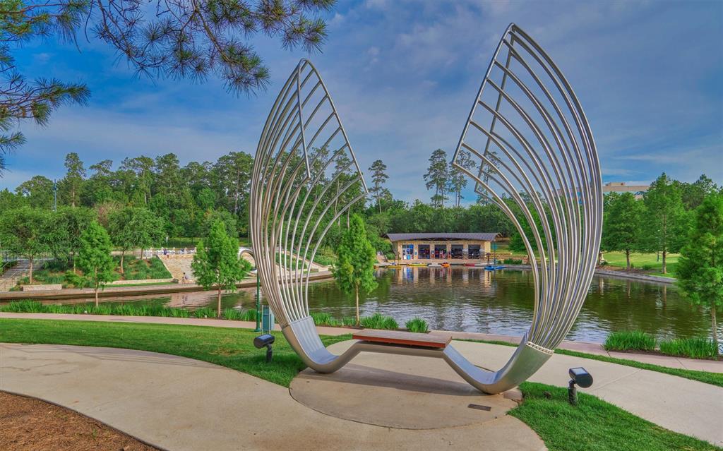 6 New Light Place, The Woodlands, Texas image 33