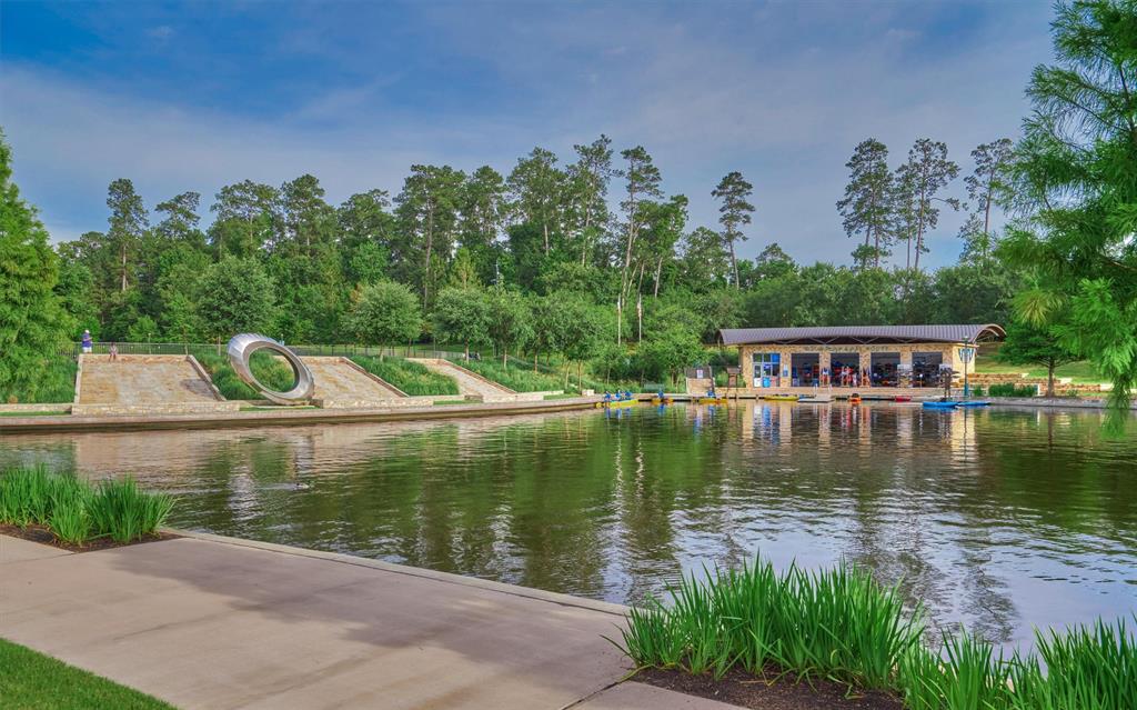 6 New Light Place, The Woodlands, Texas image 34