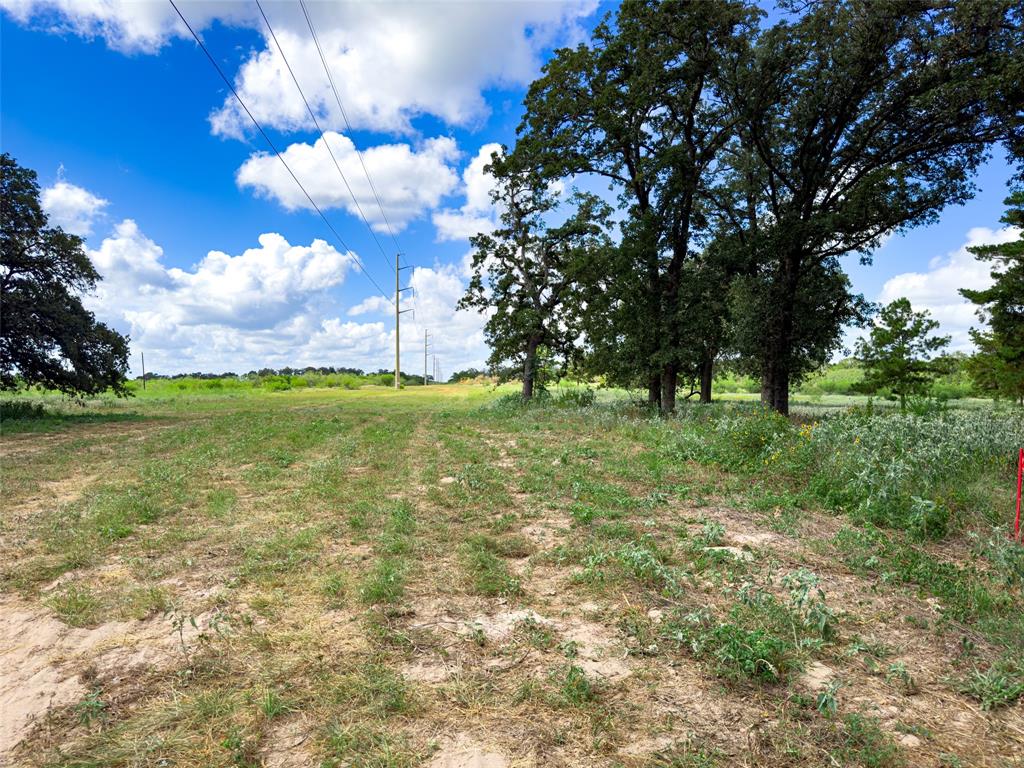 TBD Sh 95, Bastrop, Texas image 41