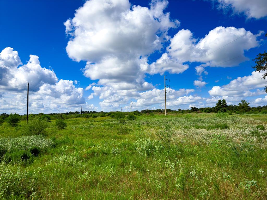 TBD Sh 95, Bastrop, Texas image 32