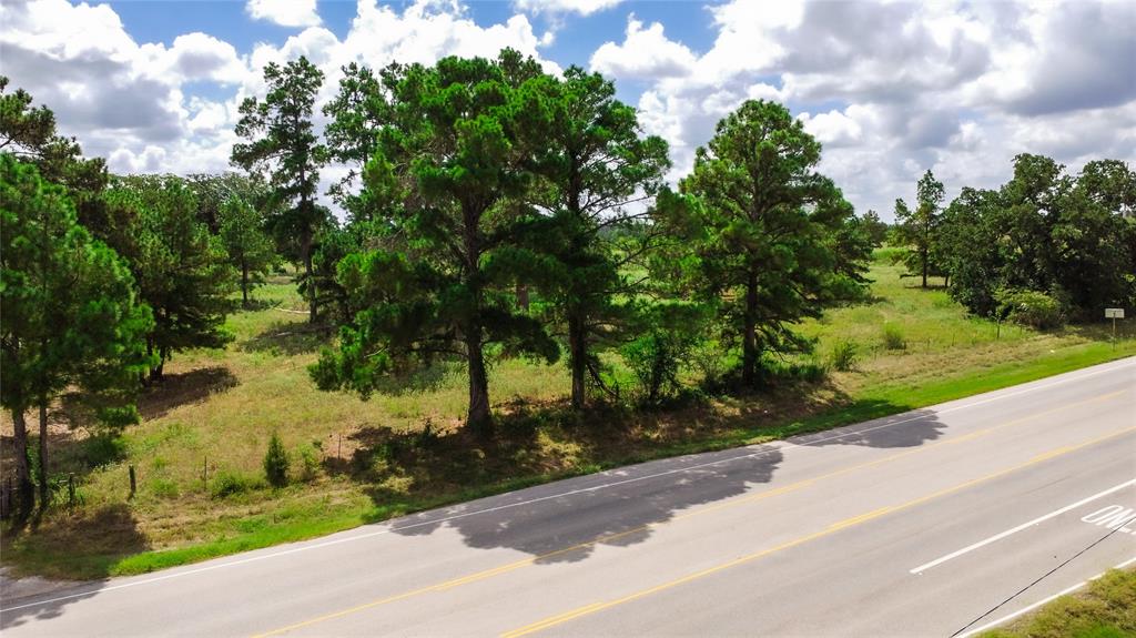 TBD Sh 95, Bastrop, Texas image 10