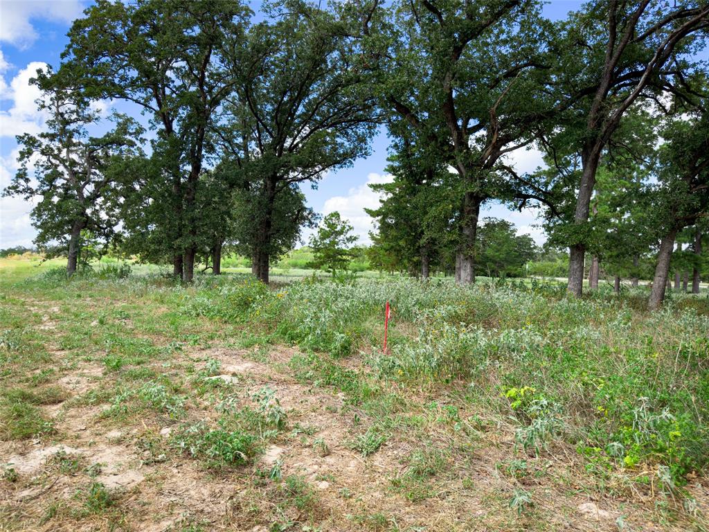 TBD Sh 95, Bastrop, Texas image 40