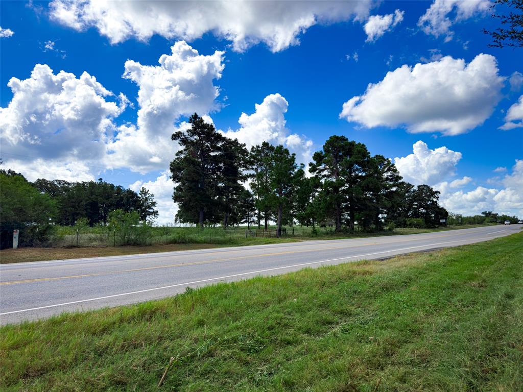 TBD Sh 95, Bastrop, Texas image 43