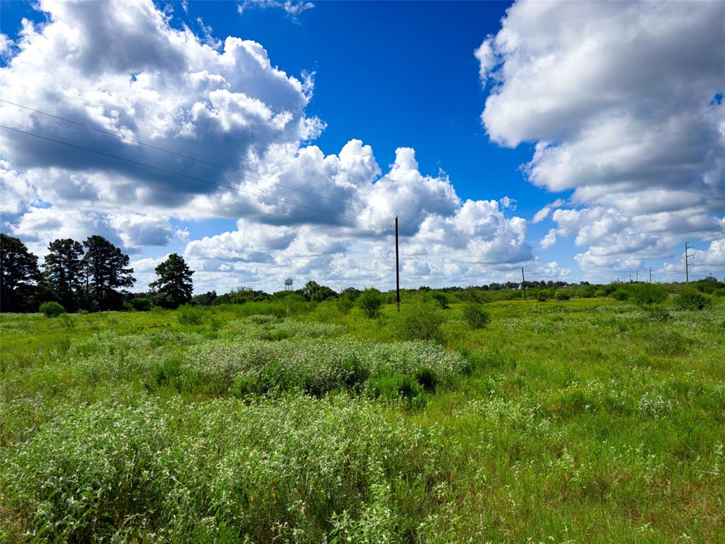 TBD Sh 95, Bastrop, Texas image 31