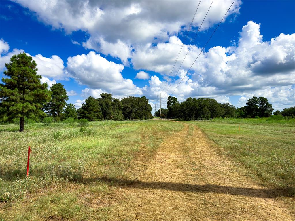 TBD Sh 95, Bastrop, Texas image 36